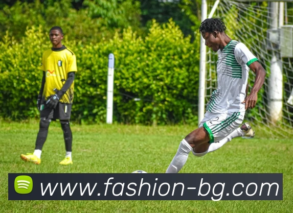 多彩内容专区